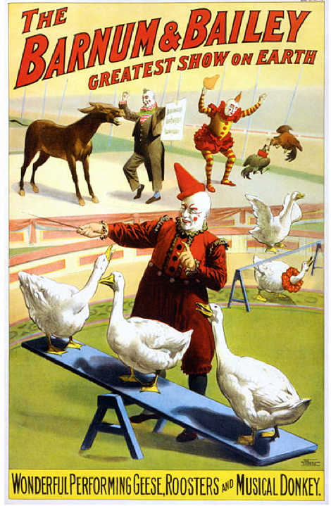 Poster uit 1900 met hanen, ganzen en een muzikale ezel van Barnum & Bailey ‘greatest show on earth’. 